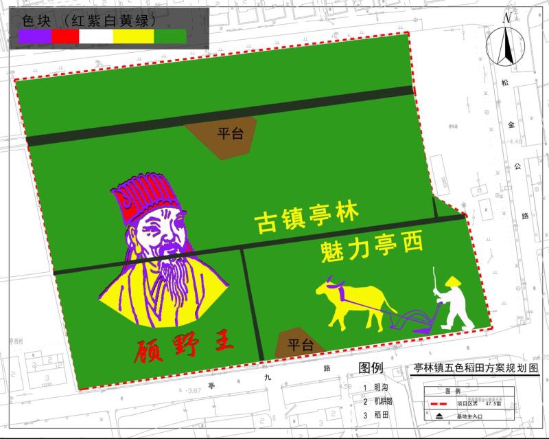北斗卫星神定点，五彩水稻绘传奇